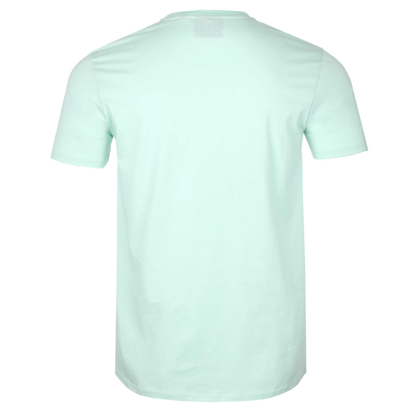 Sandbanks Badge Logo T Shirt in Mint Back