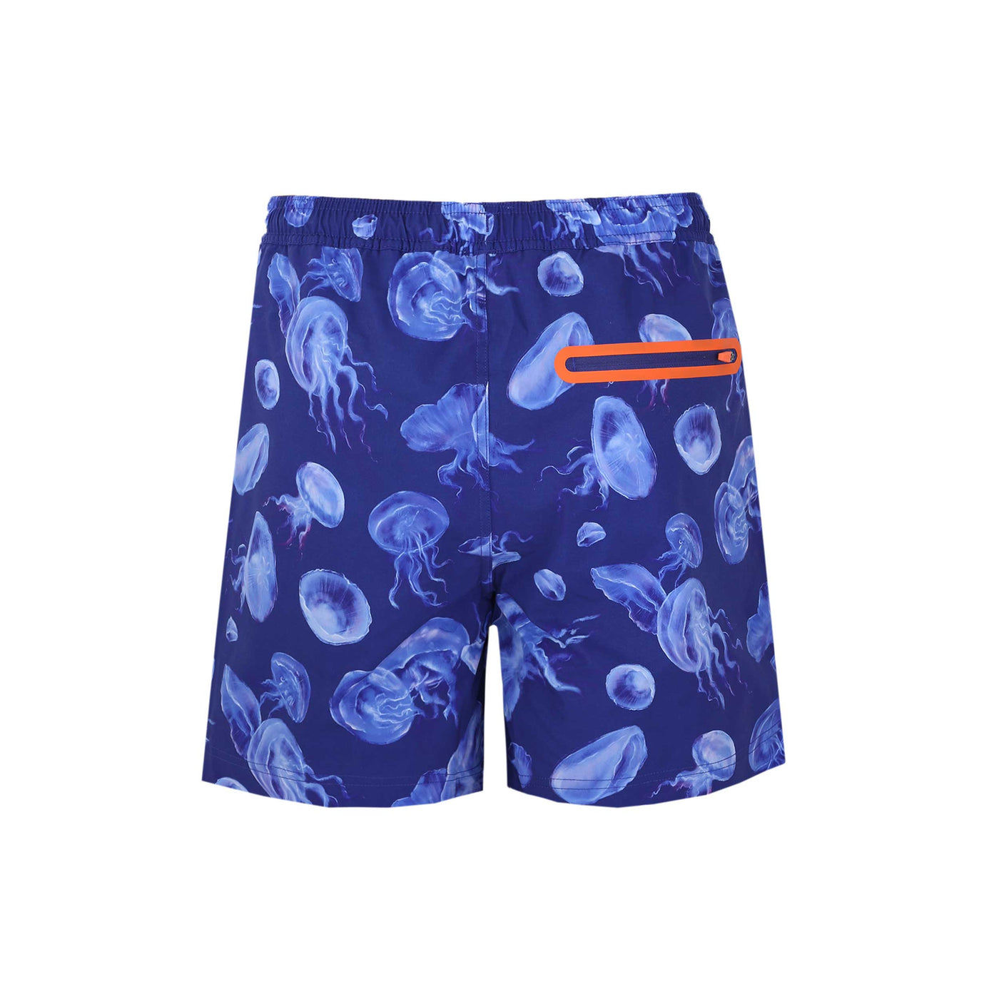 Swims Jelly Swim Short in Ocean Blue Back